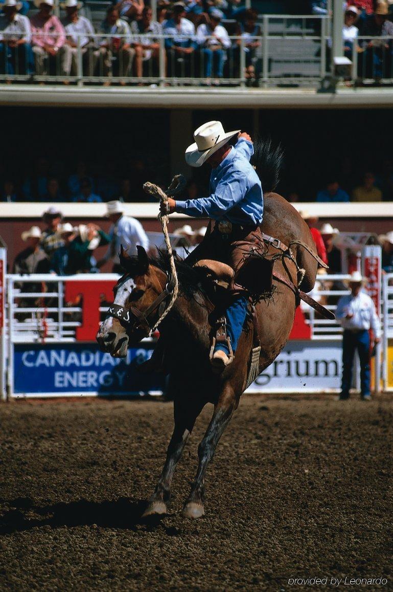 Travelodge Calgary Macleod Trail Buitenkant foto